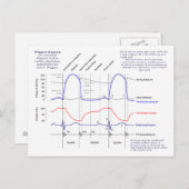 ウィガーズ図 ポストカード (正面/裏面)