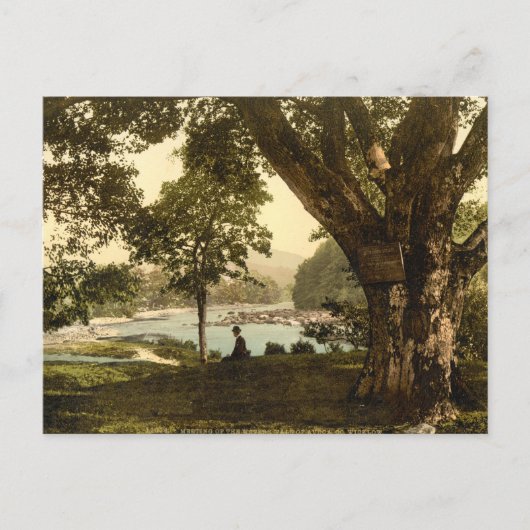 ウィクロウ県アボカ島 ポストカード (正面)