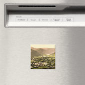 ウィクロウ郡 マグネット (インサイチュ (食洗機))