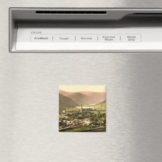 ウィクロウ郡 マグネット (インサイチュ (食洗機))