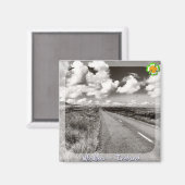 ウィクロー マグネット (正面/裏面)