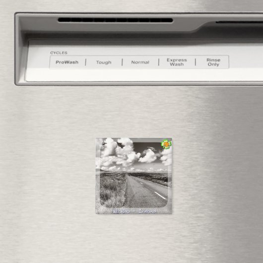 ウィクロー マグネット (インサイチュ (食洗機))