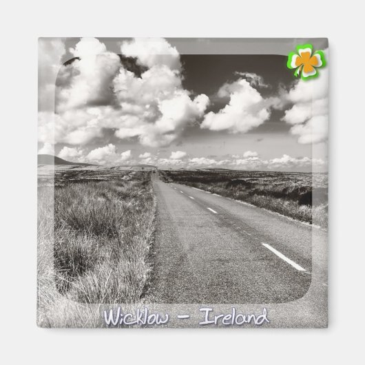 ウィクロー マグネット (正面)