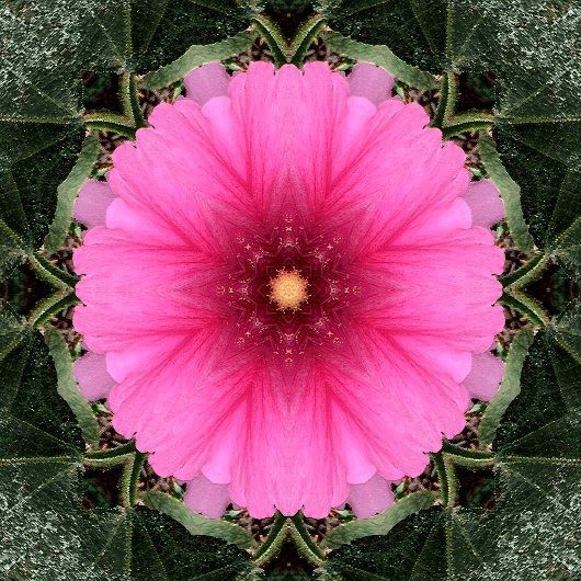 ウィグリン….. ノートブック