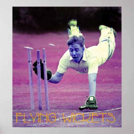 ウィケ飛んでいるット ポスター (正面)