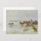 ウィゲオンとティール（緑がかった色）の水辺のアート ポストカード (正面/裏面)