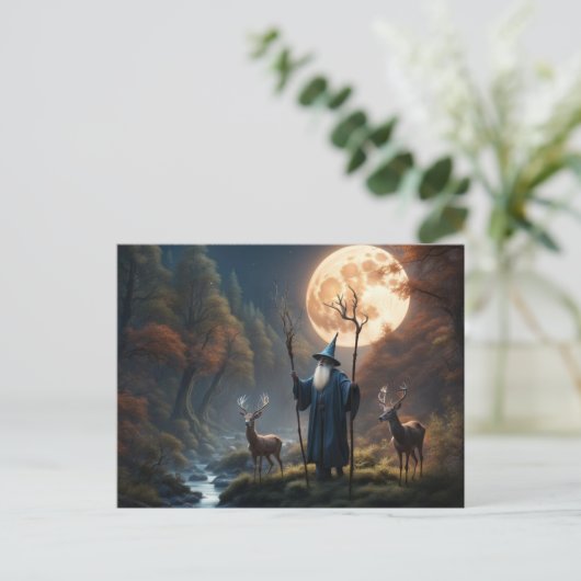 ウィザードのはがき シーズンポストカード (スタンド正面)