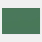 ウィザードの無地の緑 ラッピングペーパーシート (正面3)