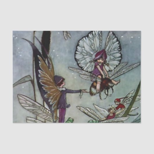 ウィザー遠くにバイフローレンス・アンダーソン 薄葉紙 (正面)