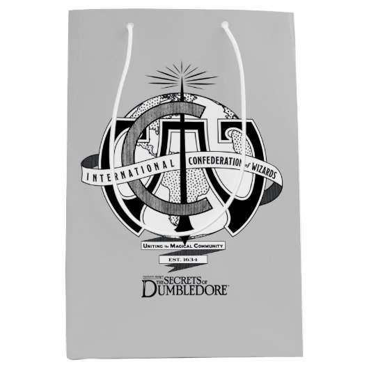 ウィザ国際的ードの連携ロゴ ミディアムペーパーバッグ (正面)