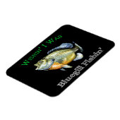 ウィシンIはブルーギルフィシン マグネット (左側)