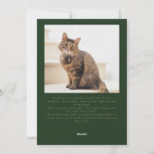 ウィスカーと疑問に思猫の写真グリーンクリスマス シーズンカード (裏面)