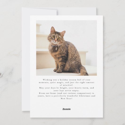 ウィスカーと疑問に思猫の写真ホワイトクリスマス シーズンカード (裏面)