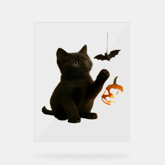 ウィスカーヘックス&ランタンクラシックグローTシャツ アクリルサイン (正面)