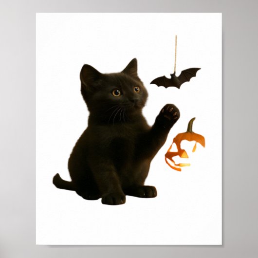 ウィスカーヘックス&ランタンクラシックグローTシャツ ポスター (正面)