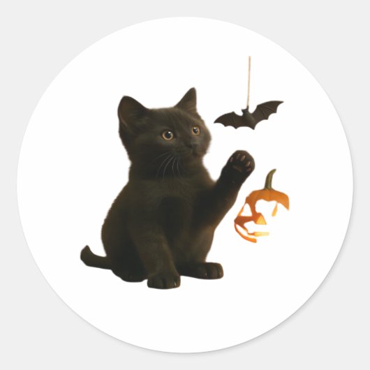 ウィスカーヘックス&ランタンクラシックグローTシャツ ラウンドシール (正面)