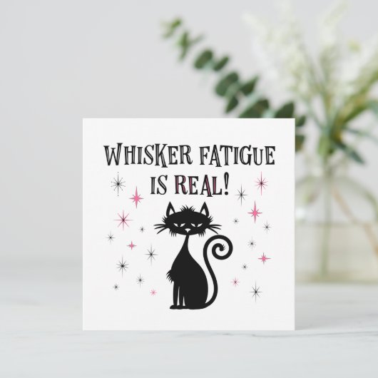 ウィスカー実在疲おもしろい果は猫ことわざ (スタンド正面)