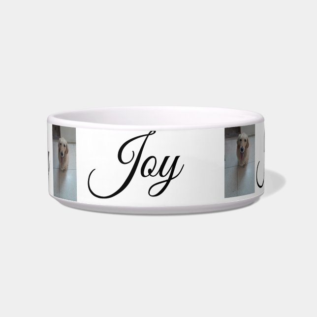 「ウィスカー・ヘイブンスタイリッシュ：と実用的なペットボウル ボウル (正面)