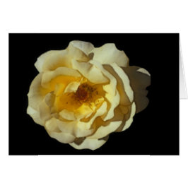 ウィスキーのMacのばら色カード