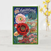 ウィスコンシンからのヴィンテージの種カタログ、 カード (黄色い花)