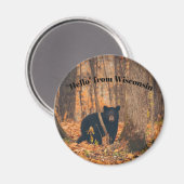 ウィスコンシンからブラックベアと共に マグネット (正面/裏面)