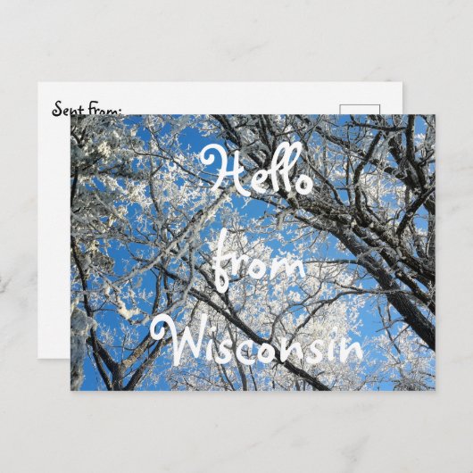 ウィスコンシンかわいらしスノー風景写真から ポストカード (正面/裏面)