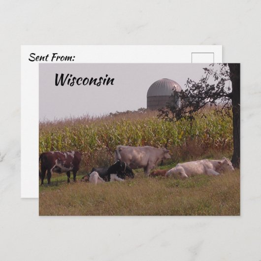 ウィスコンシンのことわざハイ牛と農場 ポストカード (正面/裏面)