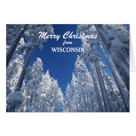 ウィスコンシンのクリスマスカードからの雪の木 (正面横)