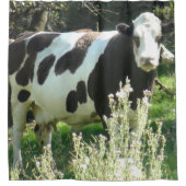 ウィスコンシンのシャワーカーテンから大きな牛 シャワーカーテン (正面)