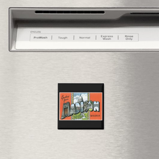 ウィスコンシンのマディソンからのご挨拶! マグネット (インサイチュ (食洗機))