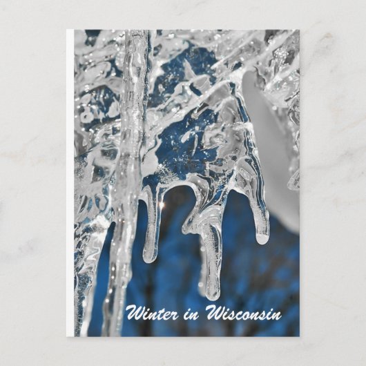 ウィスコンシンの冬 ポストカード (正面)