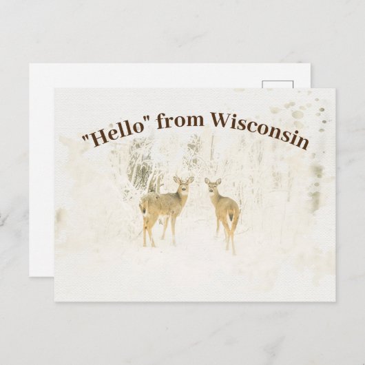 ウィスコンシンの白によって後につかれるシカへの水彩画の歓迎 ポストカード (正面/裏面)