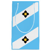 ウィスコンシンスモール抱き枕 スモールペーパーバッグ (正面)