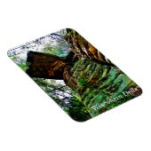 ウィスコンシンデルス マグネット (右側)