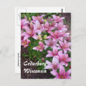 ウィスコンシンユリ ポストカード (正面/裏面)