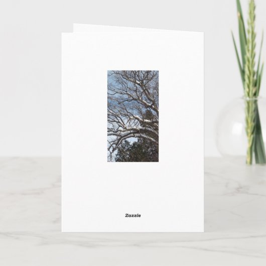 ウィスコンシンユーモアハッピー春スノーウィカード カード (裏面)