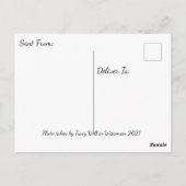 ウィスコンシンランドスケープ写真ことわざhi ポストカード (裏面)