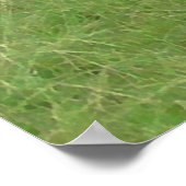 ウィスコンシン乳牛フォトポスターへようこそ ポスター (角)