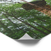 ウィスコンシン州のスタンドロックからジャンプする犬 ポスター (角)