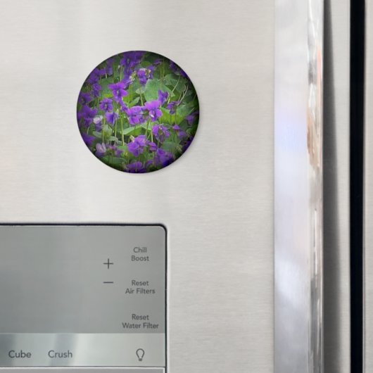 ウィスコンシン州の花： Wood Violetスポットライト マグネット (インサイチュ (冷蔵庫))