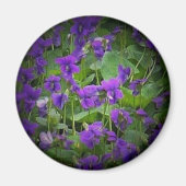 ウィスコンシン州の花： Wood Violetスポットライト マグネット (正面)