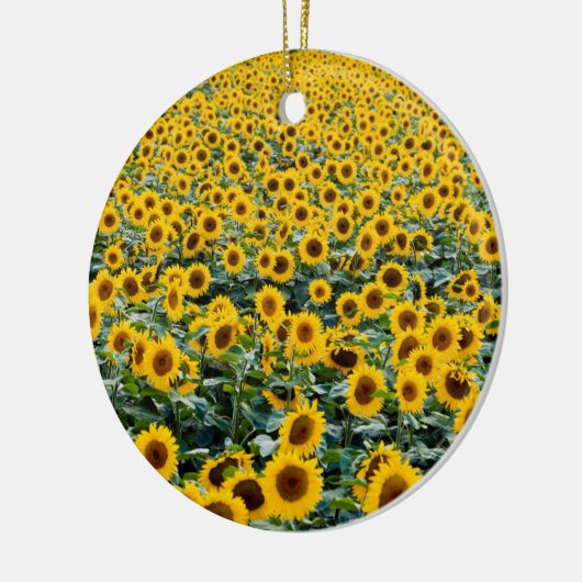 ウィスコンシン州ひまわり畑 セラミックオーナメント (左)
