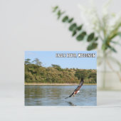 ウィスコンシン州イーグル川端書 ポストカード (スタンド正面)