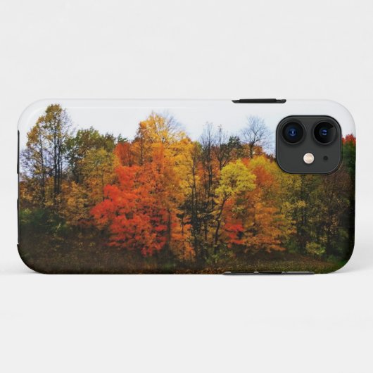 ウィスコンシン州ウェスト・ベンドの秋 Case-Mate iPhoneケース (裏面(横))