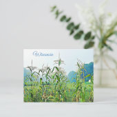 ウィスコンシン州コーンホーク中西部写真葉書 ポストカード (スタンド正面)