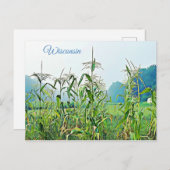 ウィスコンシン州コーンホーク中西部写真葉書 ポストカード (正面/裏面)