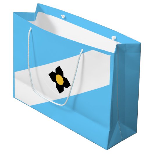 ウィスコンシン州マディソン州旗抱き枕 ラージペーパーバッグ (正面アングル)