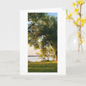 ウィスコンシン州ヤハラパークプレイスレイサンライズベンチ カード (黄色い花)