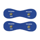 ウィスコンシン州旗を持つ愛国野球州 野球ボール (パネル)
