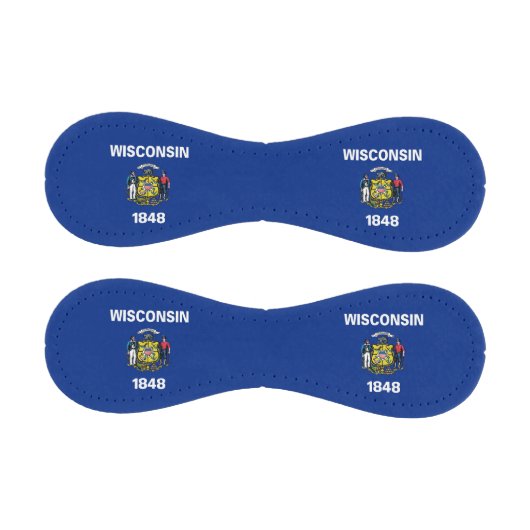 ウィスコンシン州旗を持つ愛国野球州 野球ボール (パネル)